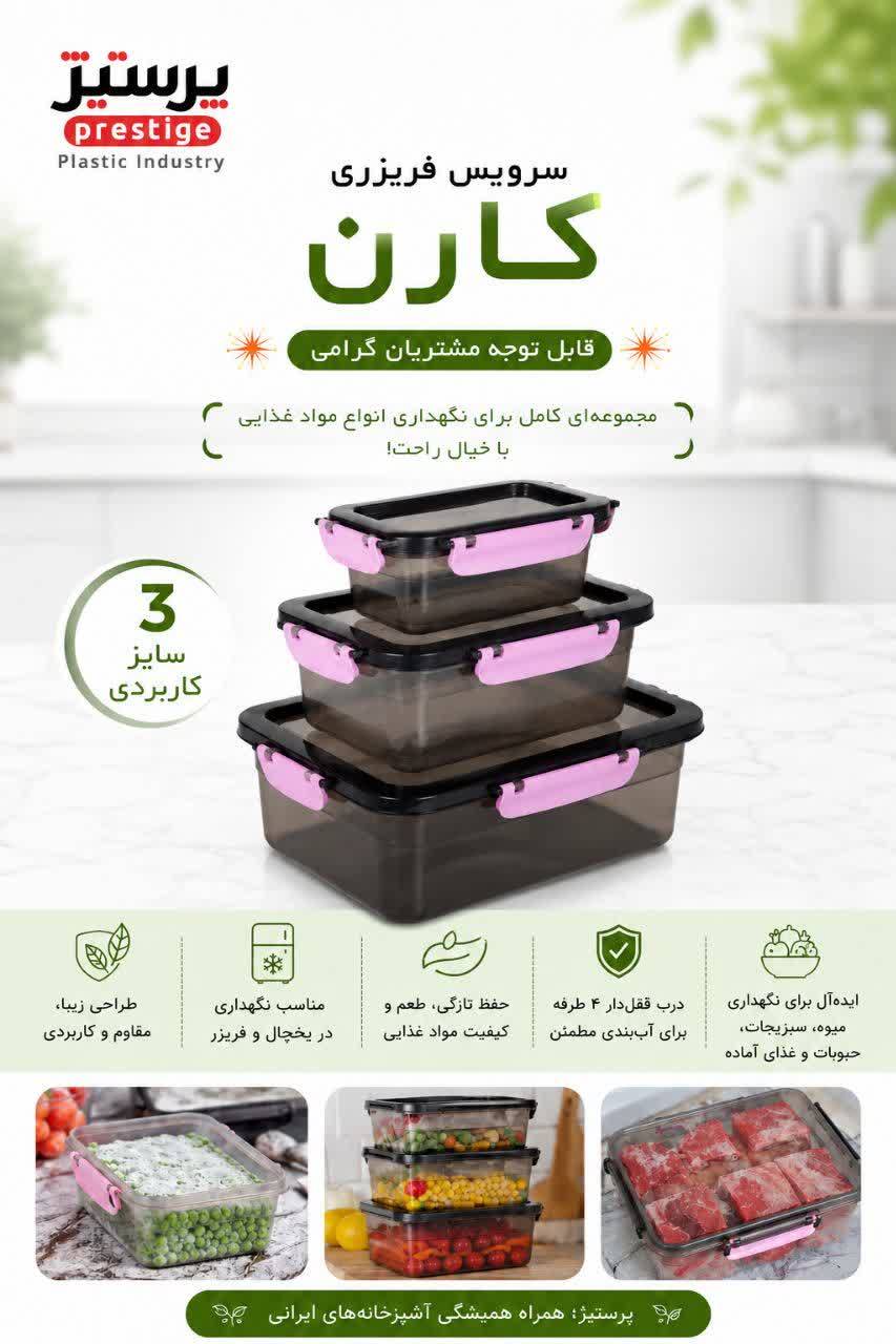 سرویس فریزری مدل کارن